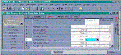 VAR Grade 2000 Screenshot